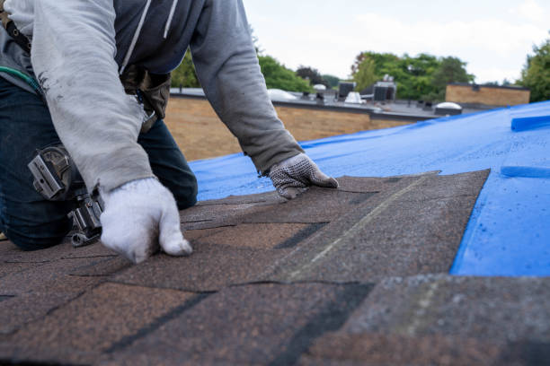 Best Flat Roof Repair Services  in Odon, IN