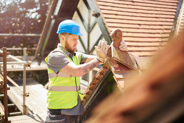 Best Roof Gutter Cleaning  in Odon, IN