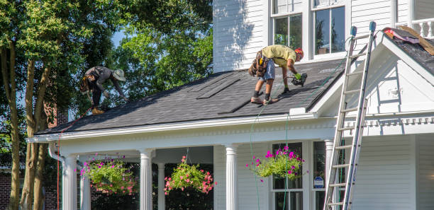 Best Metal Roofing Contractor  in Odon, IN